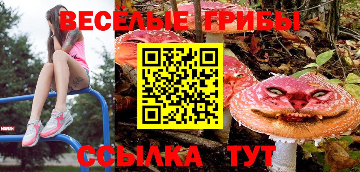 Псилоцибиновые грибы мухоморы Новошахтинск