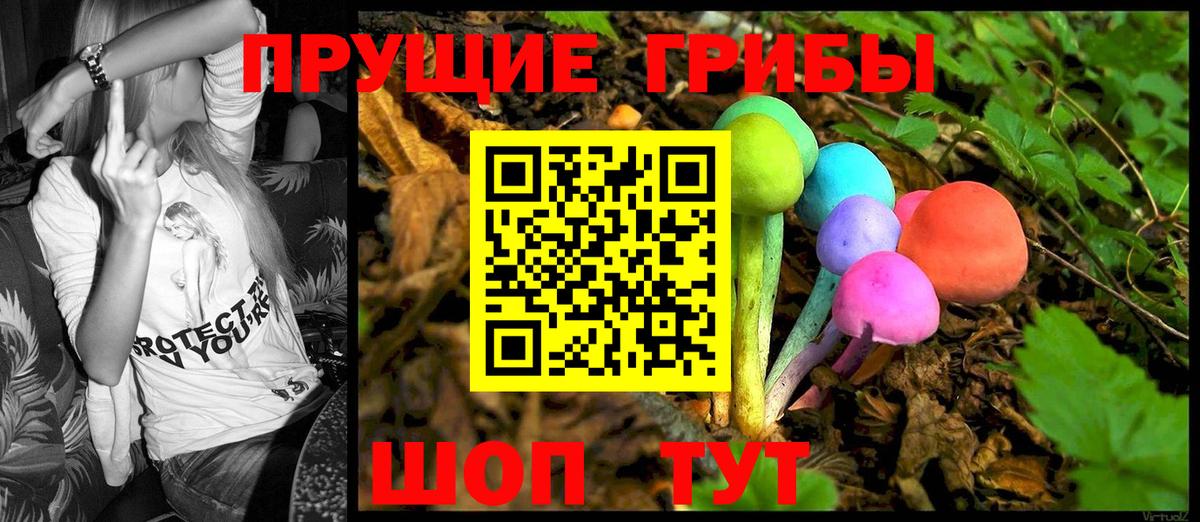 Галлюциногенные грибы Psilocybe  Галлюциногенные грибы GOLDEN TEACHER  Новошахтинск  Вход с VPN 