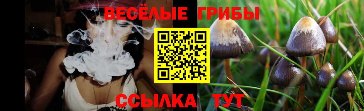 Меф МЯУ МЯУ   COCAIN  НБОМе  Где купить наркотики?  Конопля  Новошахтинск  Вход с VPN  ГАШИШ  ГАШИШ 